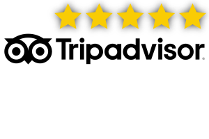Calificación Tripadvisor