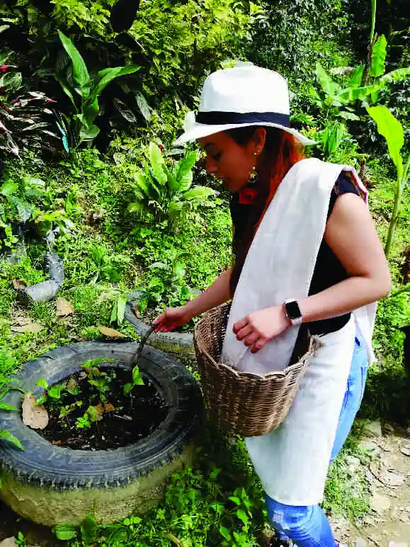 Agricultor local mostrando cultivo de café en finca